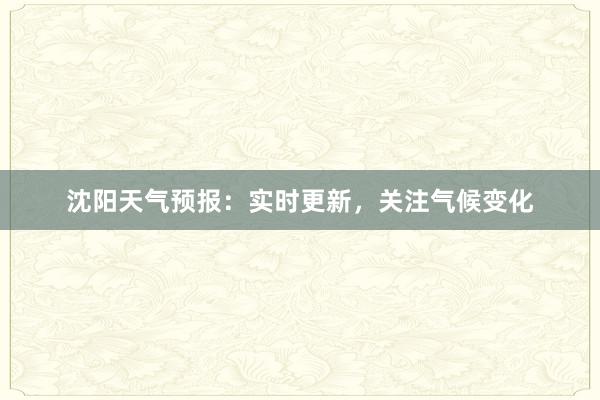 沈阳天气预报：实时更新，关注气候变化